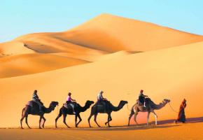 Les grandes dunes de sable, comme celles de Chegaga et Merzouga, offrent des couleurs d’exception.