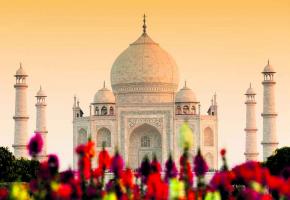Le somptueux Taj Mahal. 