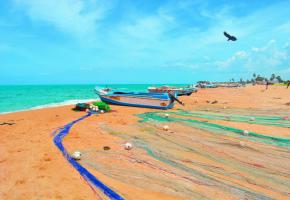 Les plages sauvages des environs de Jaffna permettent de se prélasser au soleil en admirant la beauté de l’océan Indien. DR 