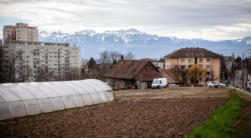 La disparition de la dernière exploitation agricole urbaine de Lausanne pourrait être remise en question. MISSON