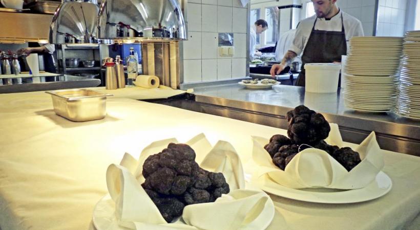  Le Kübiskernöl est à la Styrie ce que l’huile d’olive est à la Provence. Retrouvailles gastronomiques. Les truffes à l’honneur au Festival de Rheingau.