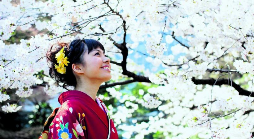 Le Japon en fleurs au printemps. Histoire & Voyages