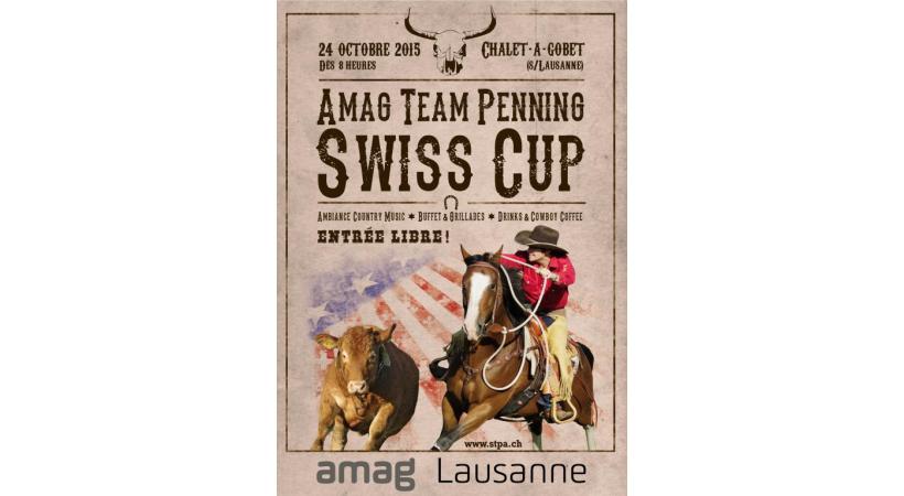  Amag Team Penning Swiss Cup. DR