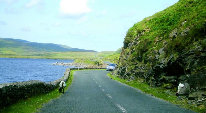 Le fameux Wild Atlantic Way, la côte sauvage de l’ouest irlandais, s’étend sur 2500 kilomètres. Pub à Dingle. L’Irlande compte 3,5 millions de moutons… pour 4,6 millions d’habitants. 