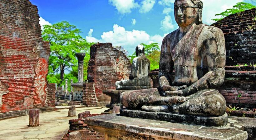  Ancienne capitale, Polonnaruwa est célèbre pour ses bouddhas sculptés. La plage de Passikudah est l’une des plus belles de la côte Est. On peut s’y rendre en voiture ou… en hydravion. Récolte du thé à Nuwara Eliya. ALAIN BOSSU Eléphants dans le Parc national de Minneriya. ALAIN BOSSU 