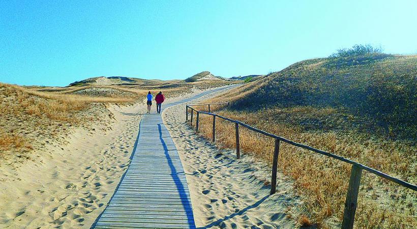 Promenade dans les dunes typiques de la Baltique. NICOLE BRATKE 
