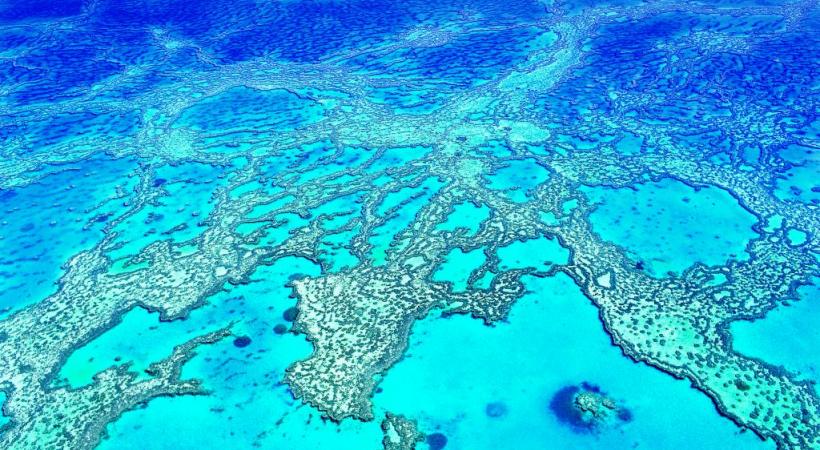 Premiers hommes sur le sol australien, les Aborigènes l’occupent depuis au moins quarante mille ans. Le plus grand récif corallien du monde compte plus de 2900 récifs et 900 îles. La Grande barrière de corail, fabuleux écosystème inscrit au Patrimoine de l’Unesco. La forêt pluviale, plus grande concentration d’espèces témoins de l’évolution des plantes, marsupiaux et oiseaux. 