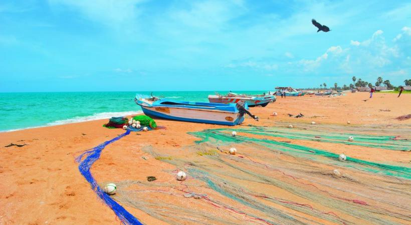 Les plages sauvages des environs de Jaffna permettent de se prélasser au soleil en admirant la beauté de l’océan Indien. DR 