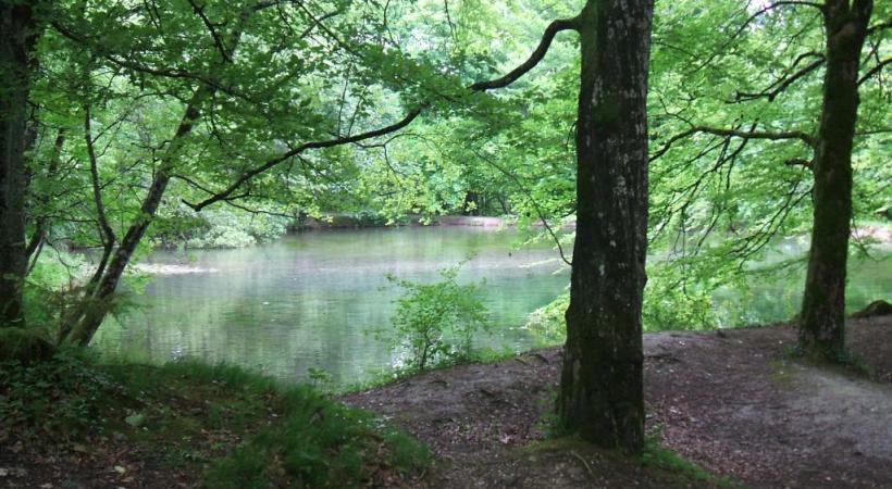 L’étang aux Moines, lieu  de silence propice à la méditation. NYON TOURISME REGION