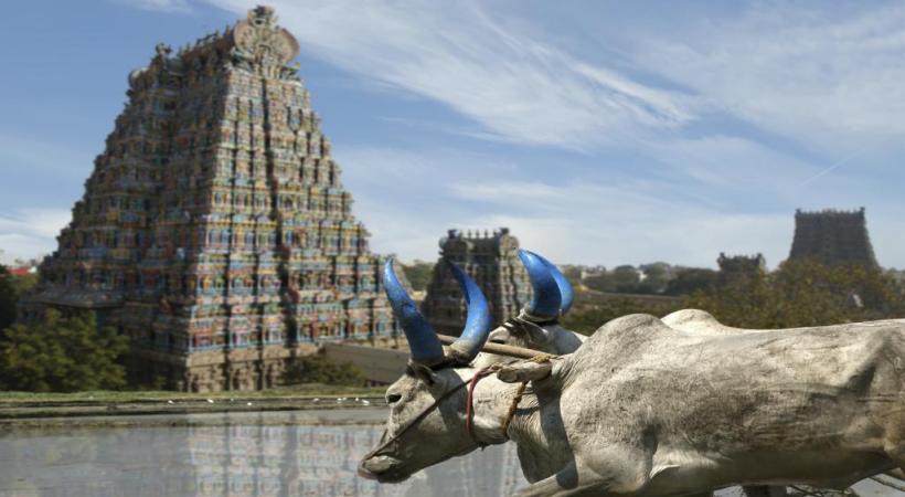 Au Tamil Nadu, la ville de Kanchipuram compte 125 temples.